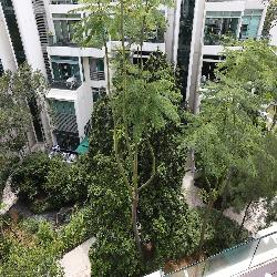 Glentrees (D10), Condominium #49834612